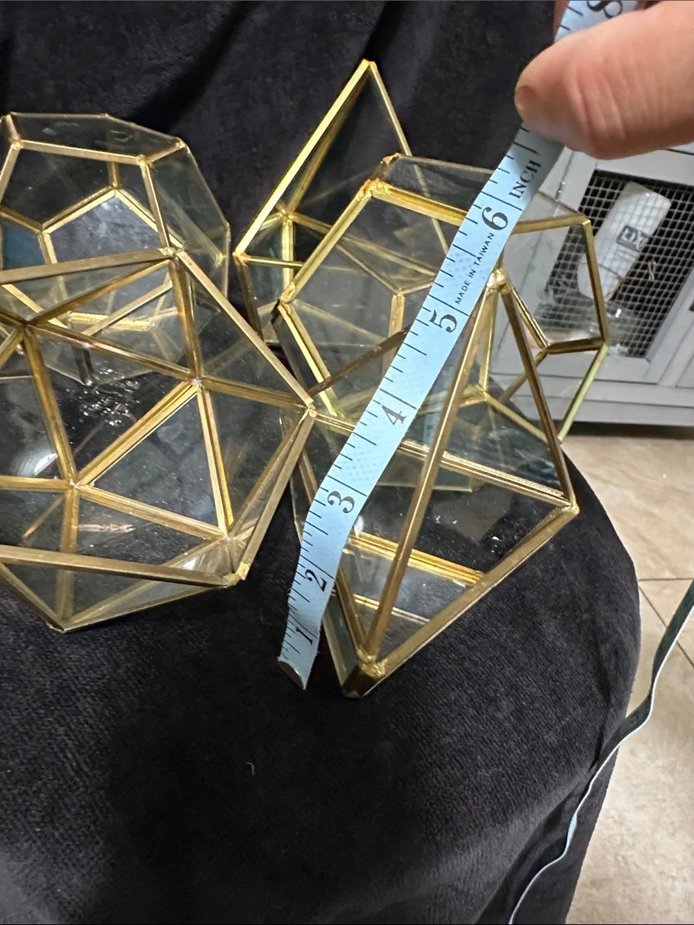 Geometric Glass Terrarium Set of 5
